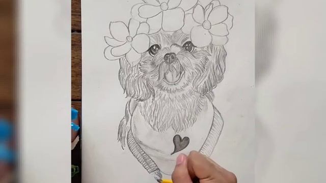Art#02 / sketching adorable shih tzu смотреть онлайн