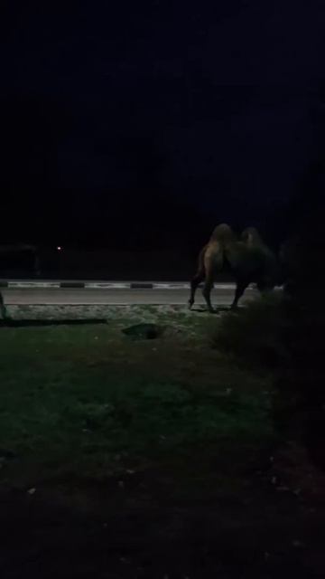 С утра на заправке смотреть онлайн