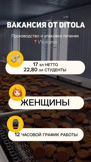 РАБОТА В ПОЛЬШЕ: Производство и упаковка печенек. смотреть онлайн