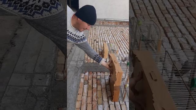 Саба Истаравшан Алиджон смотреть онлайн