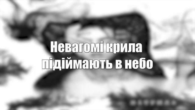 MELOVIN - Вітрила (текст, слова, лірика пісні)