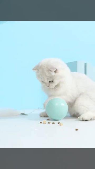 Электрические игрушки для кошек — лучший выбор для владельцев кошек смотреть онлайн