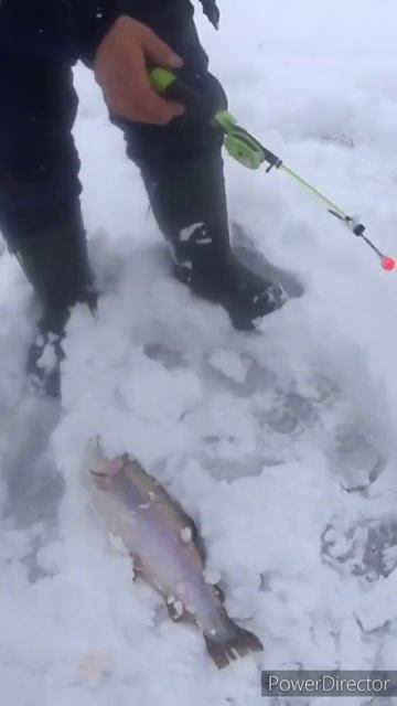 Бывает и такое. смотреть онлайн