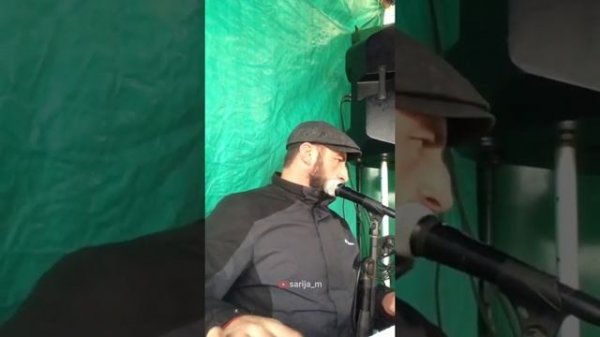 Даргинская песня. Заур Алибеков