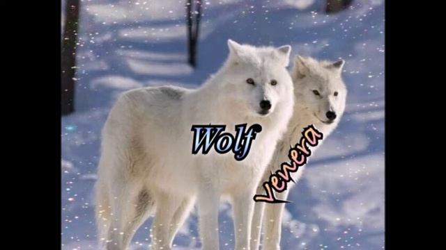 Я ЛЮБЛЮ ТЕБЯ МаСЬкА МОЯ смотреть онлайн