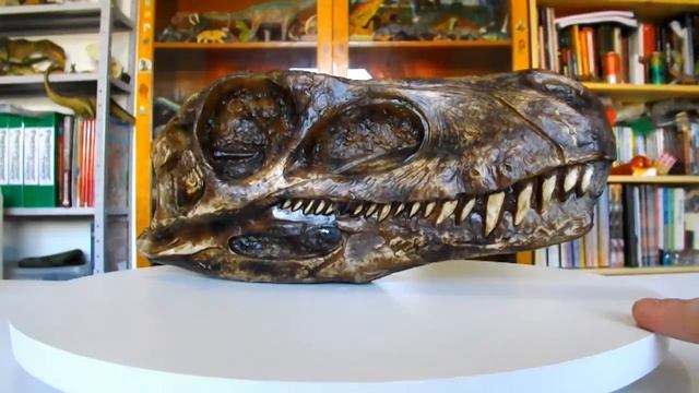 Crânio de Herrerasaurus Bios Réplicas смотреть онлайн