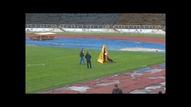 Стратегия дрессировки смотреть онлайн