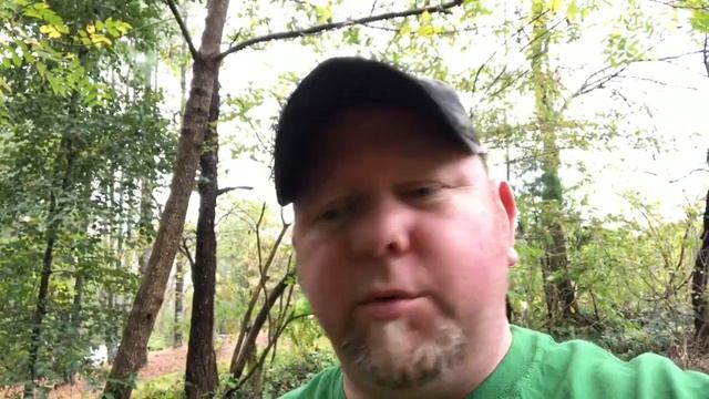 Harvesting Black Walnuts | Do it Yourself | How To | Part 2 смотреть онлайн