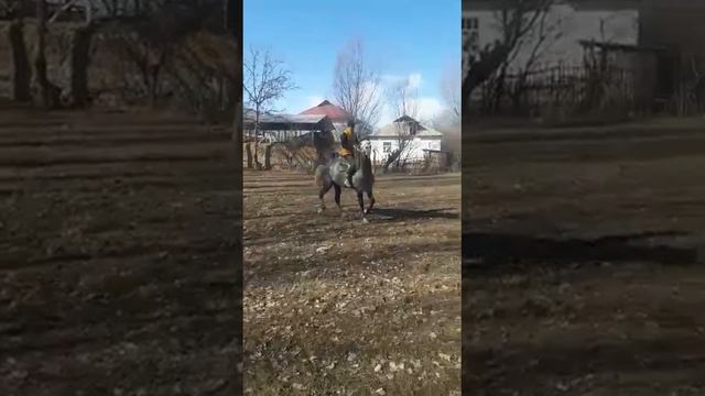 Аламан улактын аты смотреть онлайн