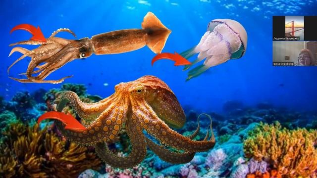 Ознайомлення з природним довкіллям "Мешканці водойм" смотреть онлайн