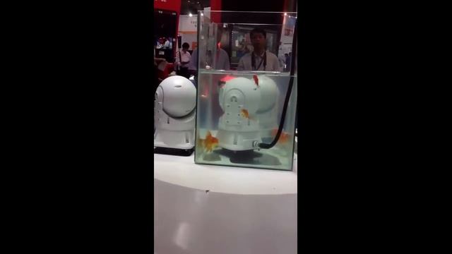 Provix PTZ Camera- Waterproof Test смотреть онлайн
