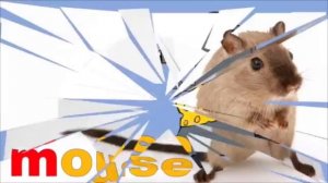 Phonics Song | kidzstation