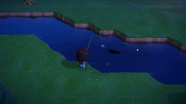 I caught an Arapaima in Animal Crossing!! | Jaki’s Island смотреть онлайн