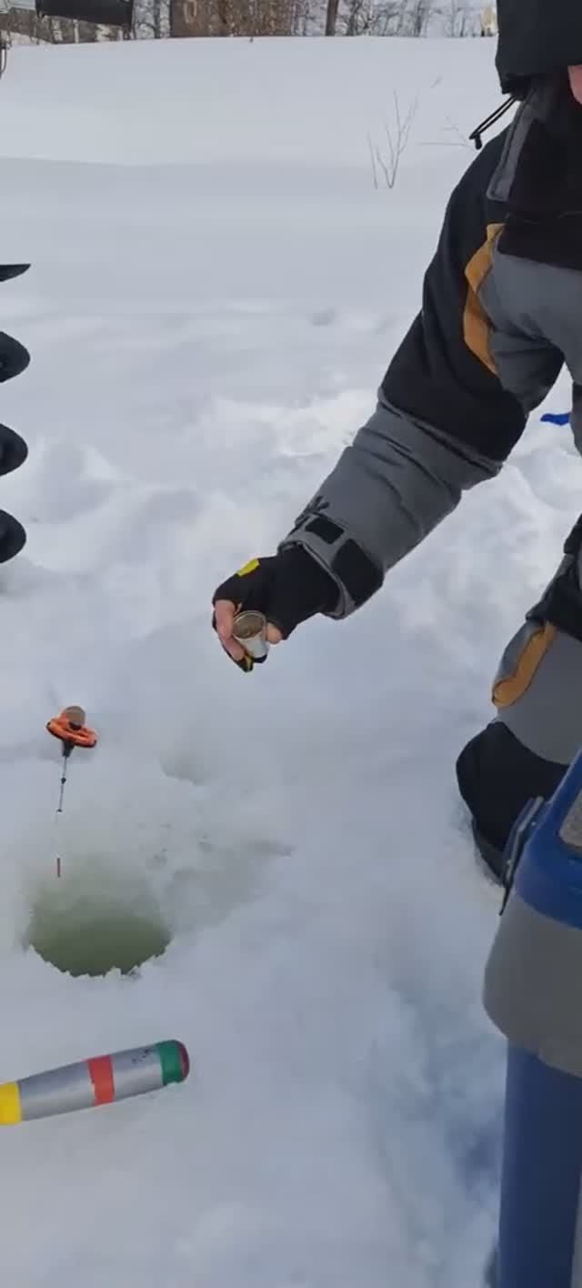 Форель прикормил – больше наловил! смотреть онлайн