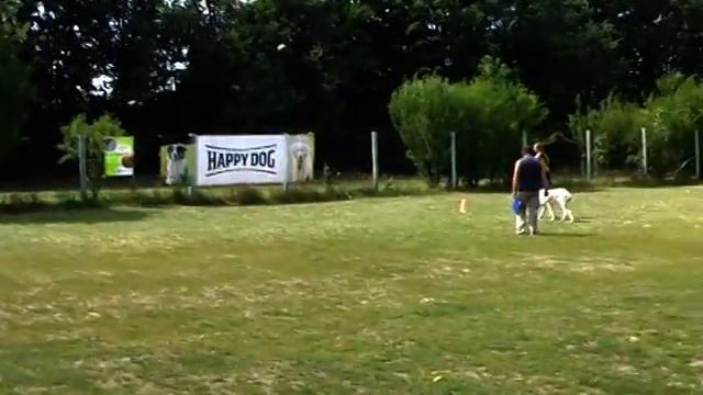 2014 07 26 Bh выступление смотреть онлайн