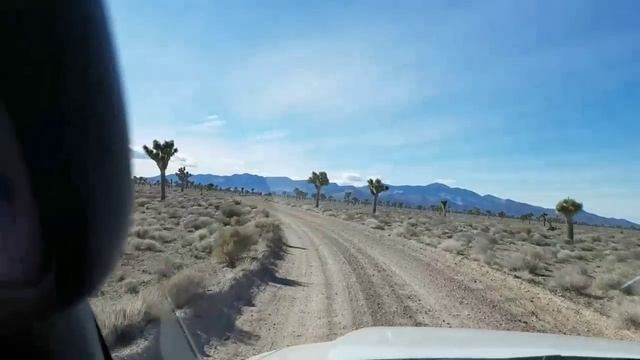 (AREA 51) THE RAPTOR CAMO DUDE CHASE смотреть онлайн