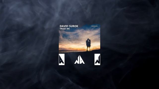 David Surok - Trust Me (Original Mix) смотреть онлайн