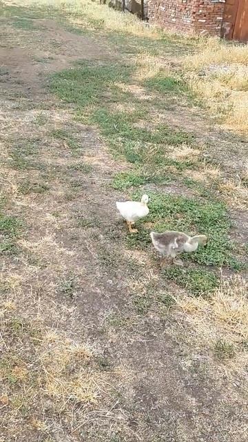 17 июля 2020 г. смотреть онлайн