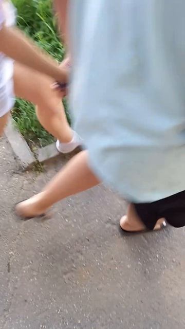 Поползень упал с ветки смотреть онлайн