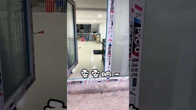 妈妈要吃我的大骨头嘛！那就让给妈妈吃好啦，我最爱妈妈啦【钱袋爱吃肉】 смотреть онлайн
