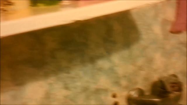 Elli Di - Дима Масленников - АлоЯ Вера - ТАКОГО ЕЩЕ НЕ ВИДЕЛИ!!! ДОМАШНЯЯ МГЛА!!! смотреть онлайн