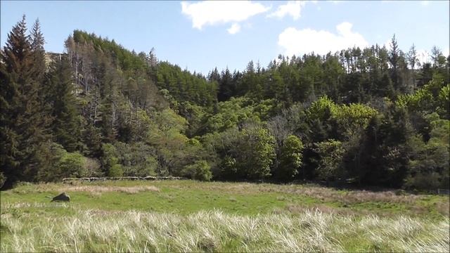 Sandaig - Gavin Maxwell's Ring of Bright Water смотреть онлайн