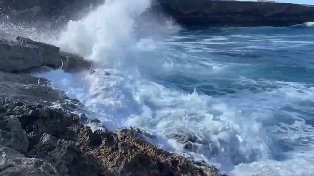 Traveling to Aruba during COVID! Safety, ATVs, Flamingo Beach, Spa Cove Massages & MORE! смотреть онлайн