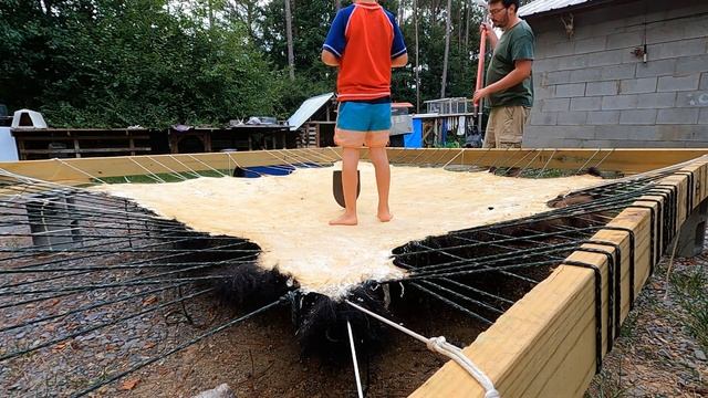 How To Stiff Tan A Buffalo/Bison Hide смотреть онлайн