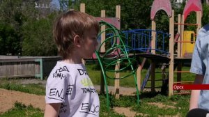 30052024 В Орске на двух 9 летних школьников напала бродячая собака