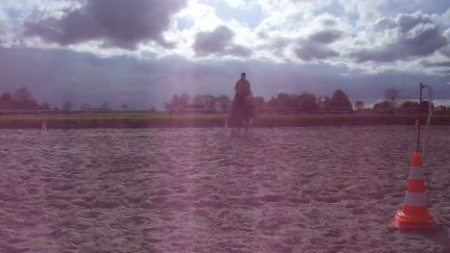 Training mit Joker смотреть онлайн