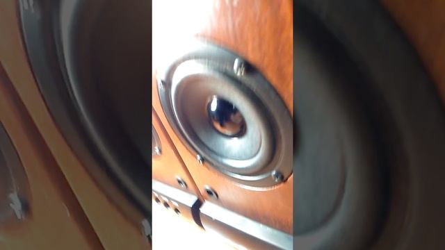 Басс для соседей это капец смотреть онлайн