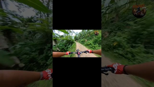POV Mountainbike With PanoX v2 360 camera | Follow cam. смотреть онлайн