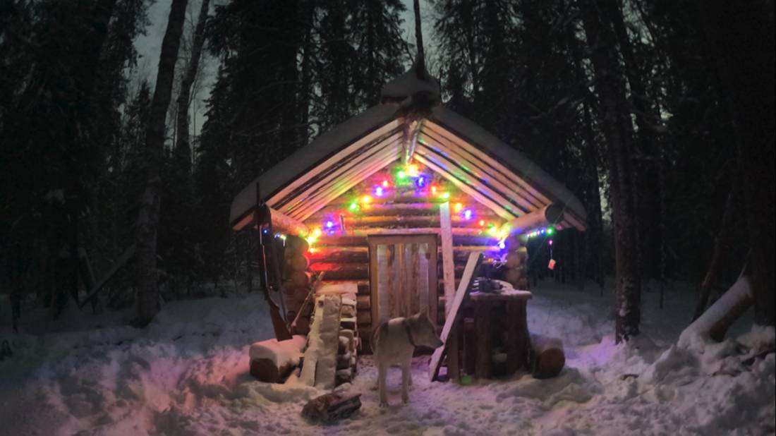 Промысловая охота на куницу! Добыт чудо зверь! Новогодняя зиба... смотреть онлайн