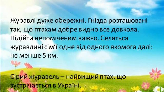 Я досліджую світ (2 клас). Коли із вирію повертаються перелітні птахи смотреть онлайн