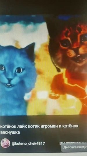 котенок Лайк котик игроман и котенок веснушка