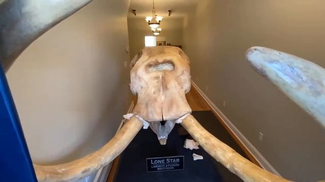 The Lost World Presents: The World's Largest 4-Tusk Mastodon смотреть онлайн