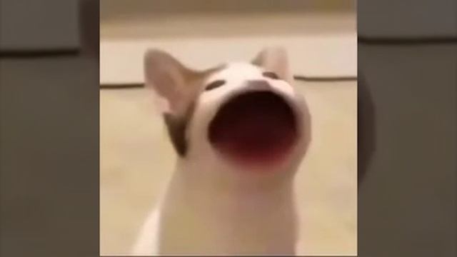 █▓▓▓▓▓▓▓▓▓▓▓█ смотреть онлайн