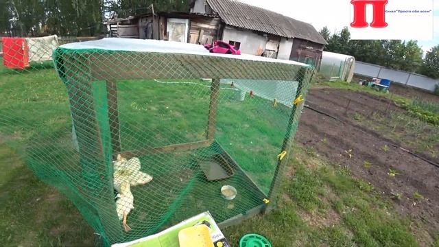 Влог :Жизнь в селе/Целый день работаем в огороде смотреть онлайн