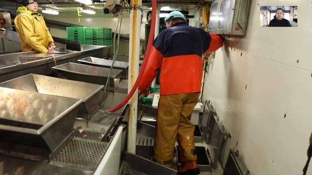 Treatment of the fish on a modern danish freshfish trawler смотреть онлайн