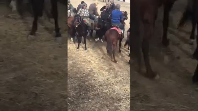 аспи шавқат фароб смотреть онлайн