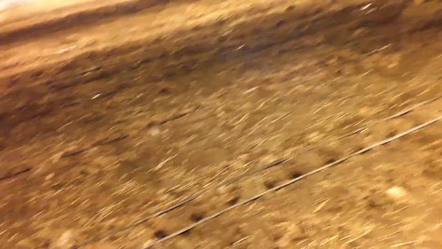 Последние сутки до высадки рассады огурца, делаем лунки #землядел #subscribe #огурцывтеплице смотреть онлайн
