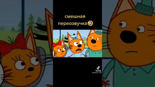 Три кошака и одна самочка😂👍😂 смотреть онлайн
