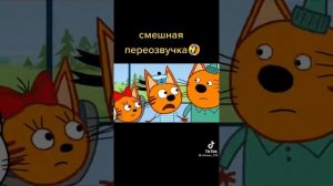 Три кошака и одна самочка😂👍😂