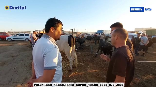 БЕРУНИЙ МОЛ БОЗОРИ 1-КИСМ 30.06.2024 смотреть онлайн
