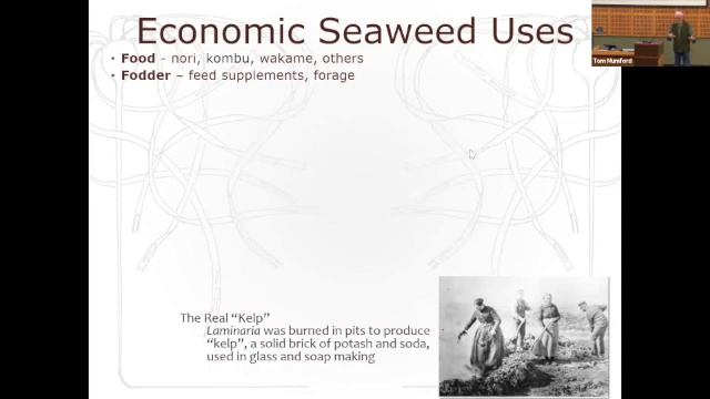 Climate Conversations: Disappearing Kelp Forests, Feb. 8 2023 | Puget Sound | Stream Team смотреть онлайн