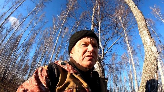 Весенняя охота на вальдшнепа смотреть онлайн