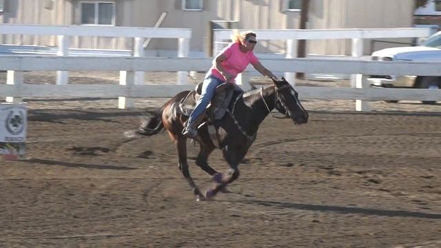 Tara Lawrence and CP Doobie Kennewick 9-24-16 смотреть онлайн