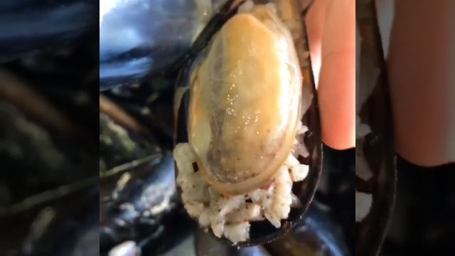 Kuzu Kokoreç | Midye смотреть онлайн