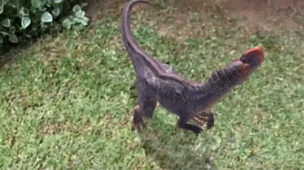 Dinosaur Caught On Camera 2019 | Mysterious Creature Monolophosaurus Dinosaur