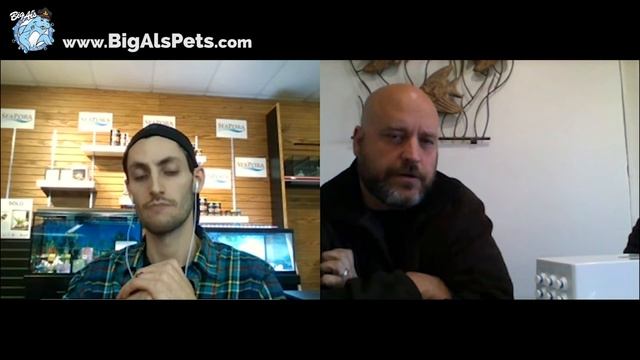 Everything You Need to Know About RO/DI | BigAlsPets.com смотреть онлайн